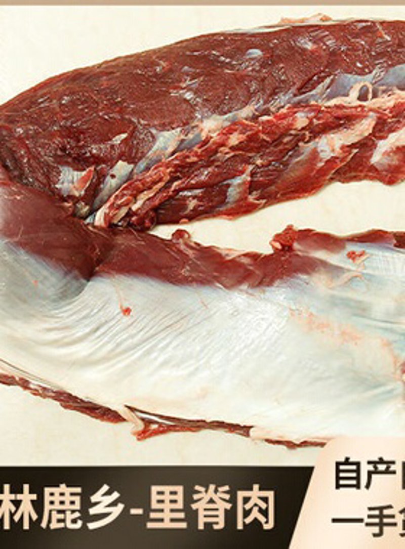 梅花鹿价格：常见问答
