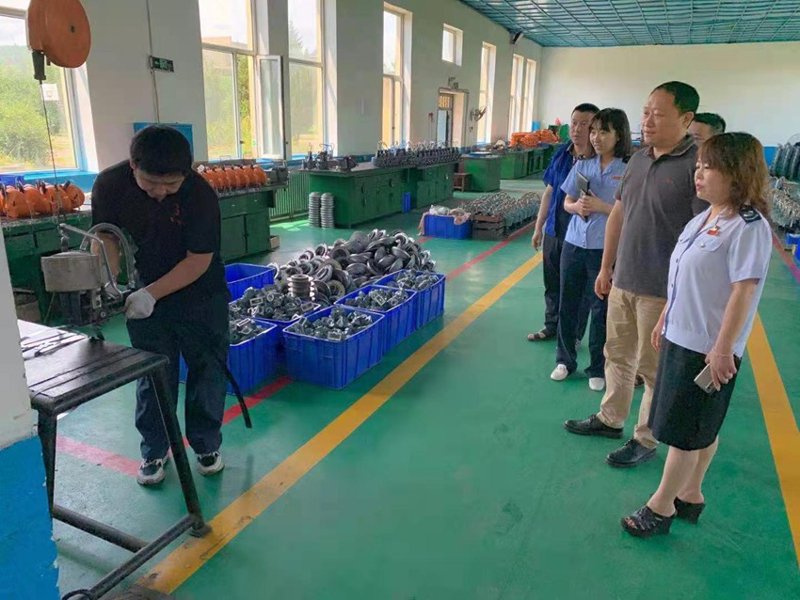 梅花鹿养殖技术：探索自然之美